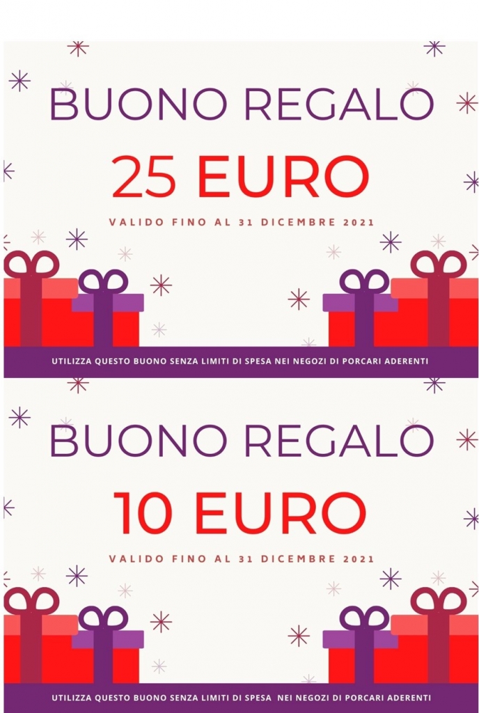 Pubblicazione1