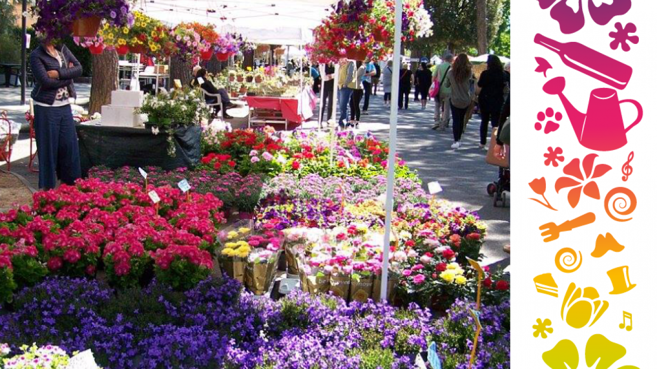 fiori con striscia