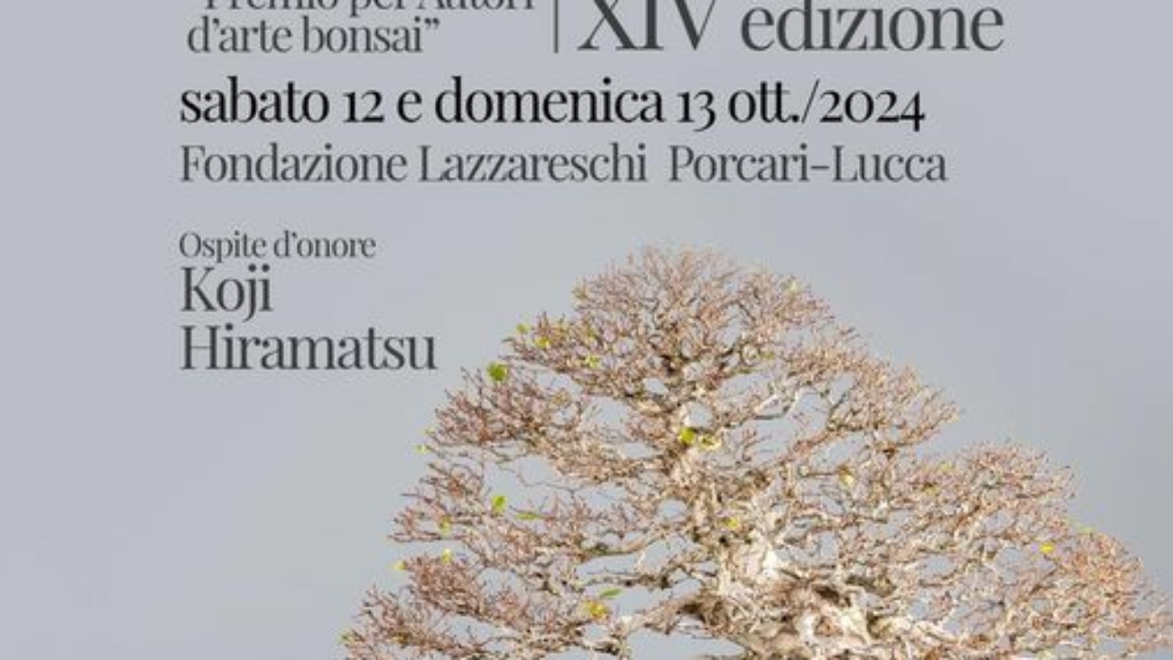mostra bonsai ottobre